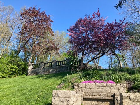 overlook at the park in spring