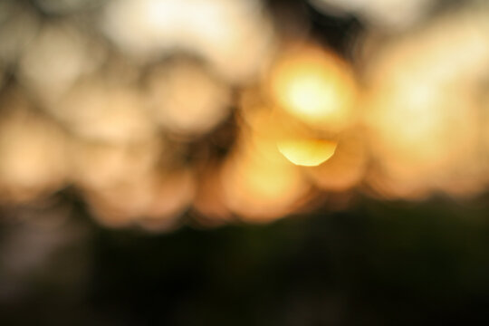 Abstract heptagonal bokeh of warm golden sunset light through forest trees