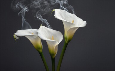 White calla lilies emit ethereal smoke against a dark backdrop. © joeycheung