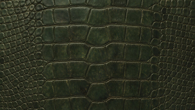 Deep green alligator skin texture with detailed scales and natural patterns