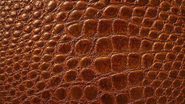 Rich brown alligator skin texture with a glossy finish and intricate scale patterns