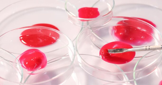 Biochemistry. Stirring laboratory sample with spatula in petri dish at table, closeup