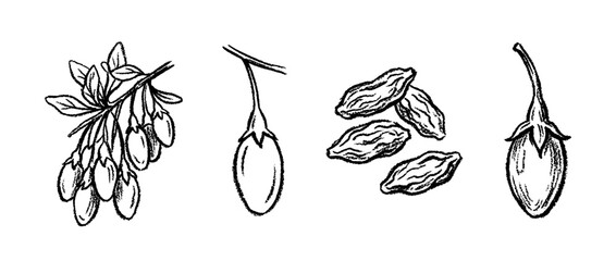 goji berry , chalk texture vector set © gunzexx png and bg