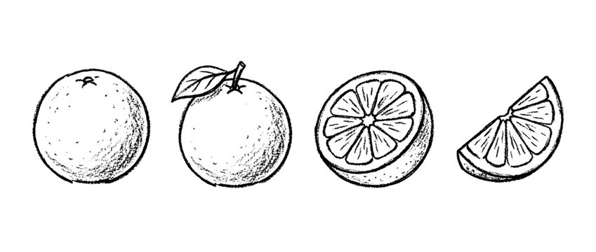 grapefruit , chalk texture vector set
