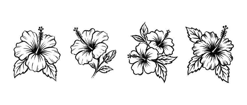 hibiscus , chalk texture vector set