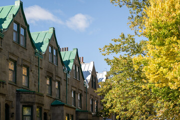 Multiple old brick buildings in historic Montreal with exterior walls, slightly weathered, uneven tones and a copper roof with a soft green patina from natural oxidation. The sky is blue with clouds.  © Dolores  Harvey