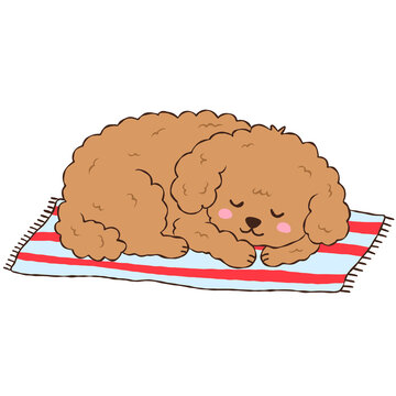 Cute Brown Poodle Puppy Sleeping on a Striped Rug, Adorable Curly Dog Napping on Blanket Illustration