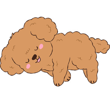Cute Brown Poodle Puppy, Adorable Curly Dog Character Drawing Illustration