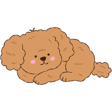 Cute Brown Poodle Puppy, Adorable Curly Dog Character Drawing Illustration