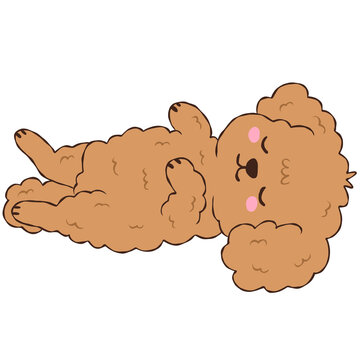 Cute Brown Poodle Puppy Sleeping on its Back, Adorable Curly Dog Napping Belly Up Illustration