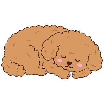 Cute Brown Poodle Puppy, Adorable Curly Dog Character Drawing Illustration
