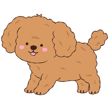 Cute Brown Poodle Puppy, Adorable Curly Dog Character Drawing Illustration