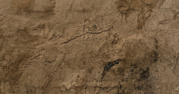 A close-up view of a textured surface showcasing earthy tones and patterns. The image highlights natural stone features with variations in color and detail.