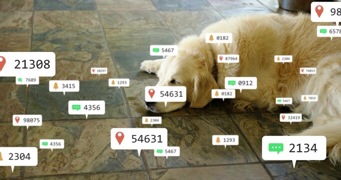 Resting golden retriever on tiled floor at home, showing map-pin chat bell labels by metal pot