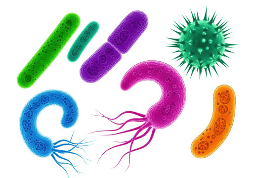 Diverse colorful single-celled microorganisms, rod-shaped bacilli and a flagellated curved organism, under intense DIC lighting showing pseudo-3D depth on a transparent background, microbiology