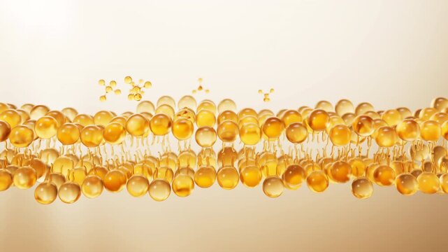 Transparent golden bilayer membrane with cosmetics molecules, 3d rendering.