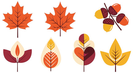 Obraz premium A mid-century botanical set of colorful vector leaves and acorns