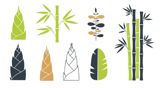 A mid-century botanical set of vector illustrations featuring various bamboo plants and leaves.