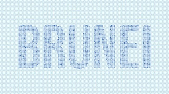 Brunei dotted map animation. Digital style shape of the country. Brunei shape and title dots appear with bulb flickering effect. Intro, outro, logo, title video.