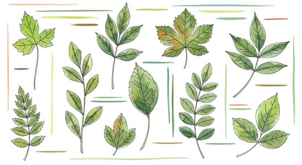 Naklejka premium Illustrative assortment of vibrant green foliage, capturing the natural beauty and delicate intricacies of botanical life