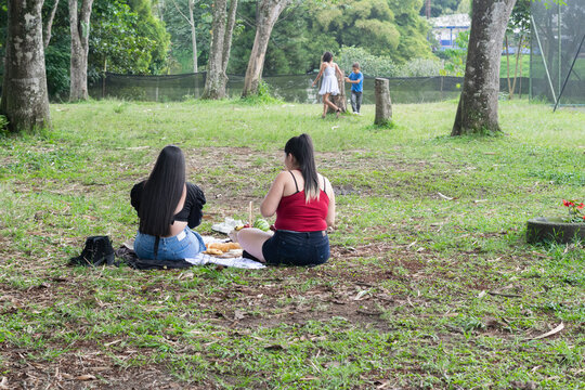 Family sitting on grass from behind enjoying quiet picnic moment in green park with trees