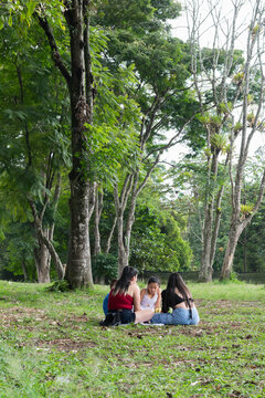 Wide shot of family picnic under trees showing peaceful outdoor bonding in natural park setting