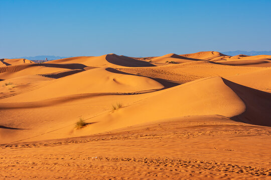 View of the vast orange sand dunes of Erg Chebbi under a clear blue sky with distant mountains on the horizon in Merzouga, Draa-Tafilalet, Morocco.
