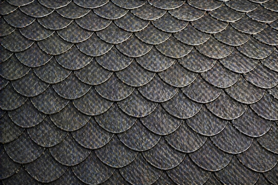 Close-up view of overlapping dark grey fish scale pattern on a textured surface