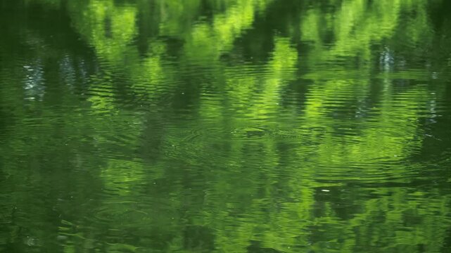 Green water surface with ripples and reflections