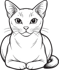 Obraz premium Singapura cat loaf sitting front view black and white line art vector illustration isolated domestic feline calm posture