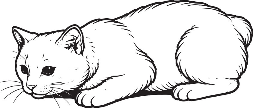 Manx cat pouncing crouch black and white line art vector side view isolated