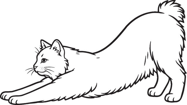Kurilian Bobtail cat stretching forward line art, side view feline stretch pose outline illustration isolated on white