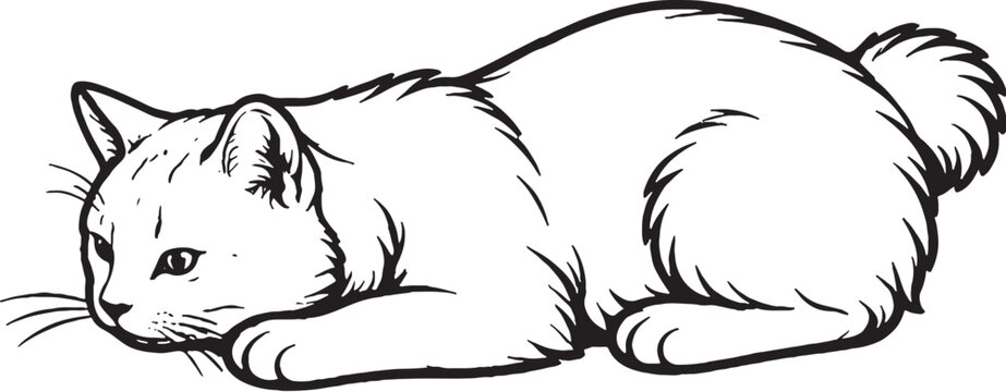 Kurilian Bobtail cat pouncing crouch line art, hunting cat pose outline illustration isolated on white