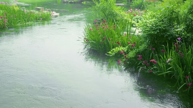 Flowing river with blooming flowers and greenery
