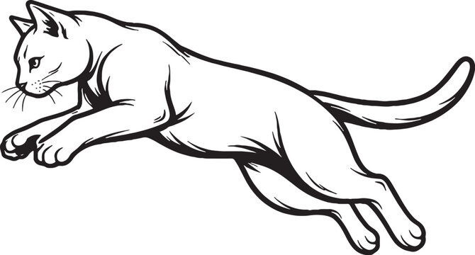 Bombay cat mid air leap line art black and white vector isolated jumping feline illustration
