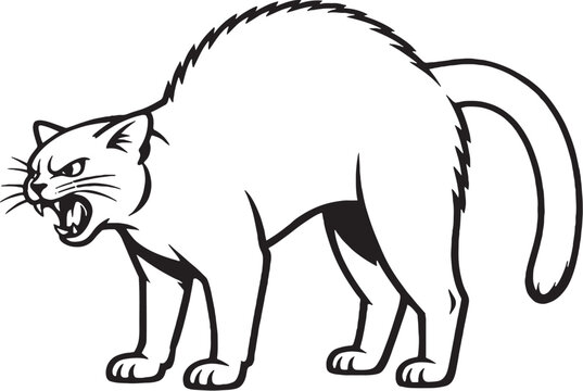 Bombay cat arching back hiss line art black and white vector isolated defensive cat behavior illustration