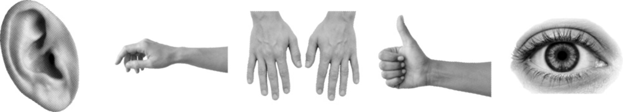 Halftone illustration of Human sensory organs and hand gestures set with ear eye and hands showing thumbs up isolated on white background