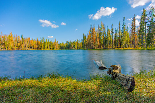 A vivid blue alpine lake bordered by golden and green autumn conifers with a weathered log in the foreground, Lassen Volcanic National Park, California.