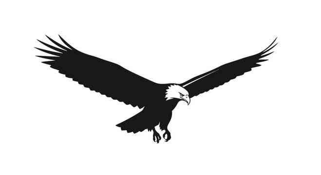 Majestic Bald Eagle in Flight Silhouette, Wings Spread Wide, Isolated on White