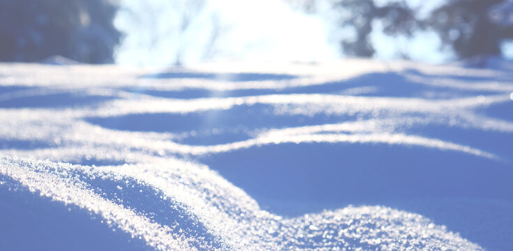 A real snowy winter with its clean, frosty air, snow-white carpets, fluffy hats on ground. Wonderful time. January frosts will be replaced soon by February thaw. Beautiful snowy winter in the forest