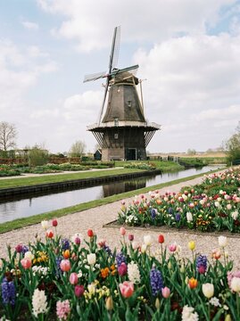 Dutch Garden with Traditional Windmill in Netherlands Countryside, Colorful Flowers and Canal Landscape, Scenic Rural Europe Travel Photography, Iconic Windmill View