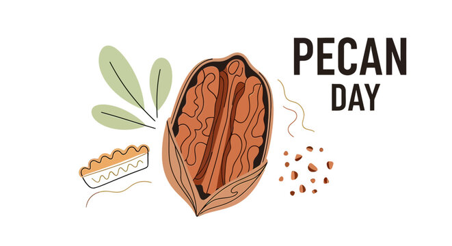 Pecan nut shell and kernel halves.