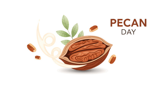 Pecan nut shell and kernel inside.