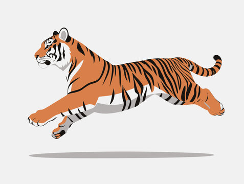Running Tiger Illustration in Dynamic Pose