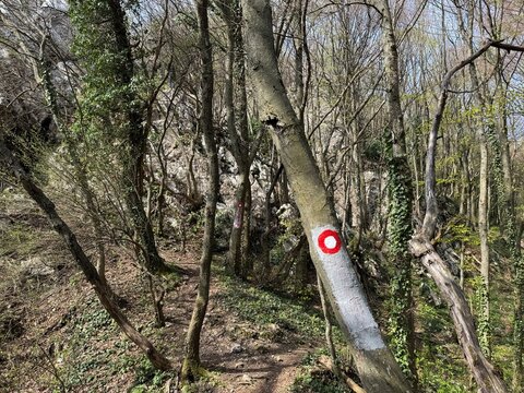 The 7 Teeth Hiking Trail on Mount Kalnik or the marked Seven Teeth Trail in the significant landscape of Kalnik, Croatia (Planinarska staza 7 zubi na planini Kalnik ili markirana staza sedam zuba)