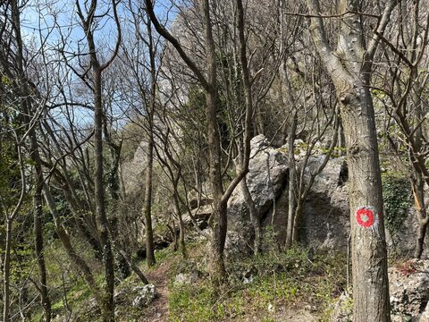 The 7 Teeth Hiking Trail on Mount Kalnik or the marked Seven Teeth Trail in the significant landscape of Kalnik, Croatia (Planinarska staza 7 zubi na planini Kalnik ili markirana staza sedam zuba)