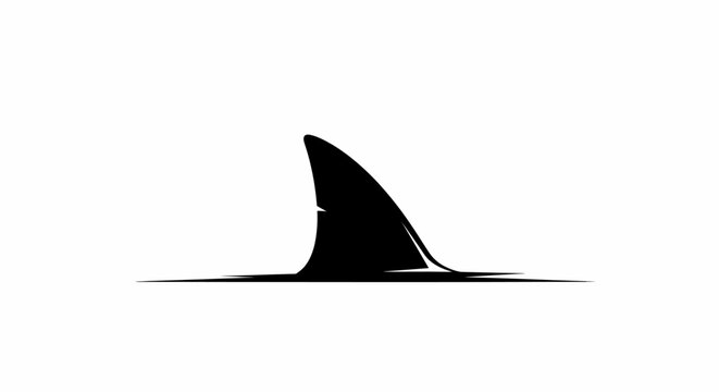 Shark fin in the water.