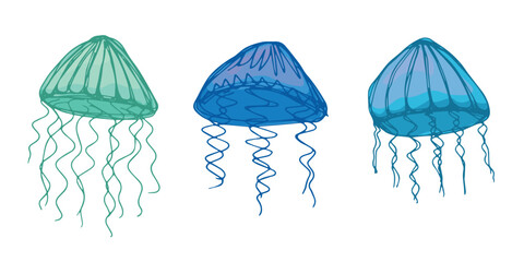 Set of hand drawn jellyfish doodle Sea animal illustration Cute marine underwater creature Medusa sketch clipart Single element for web, design, decor, children's print © Daria Shane