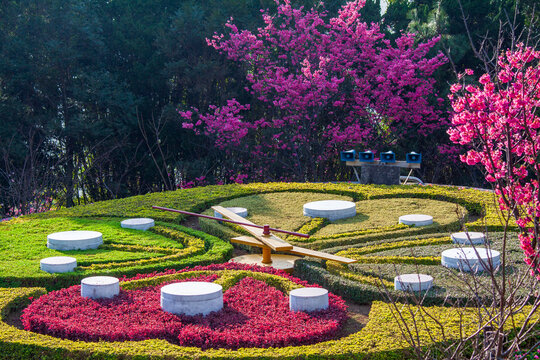 Flower clock in spring, nature blossom  