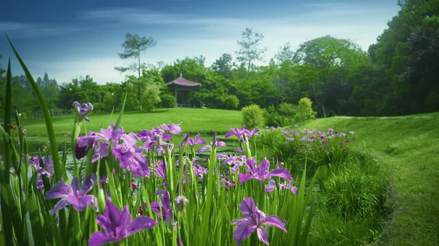 Vibrant Purple Flowers in Lush Garden Landscape